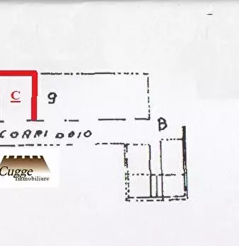 Foto annuncio 17