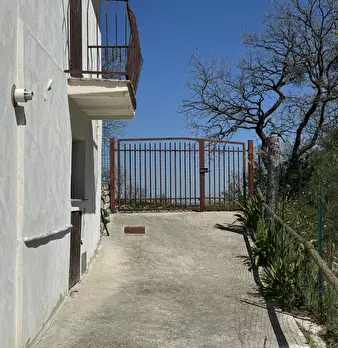 Foto annuncio 55