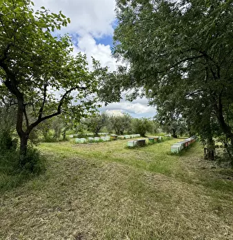 Foto annuncio 33