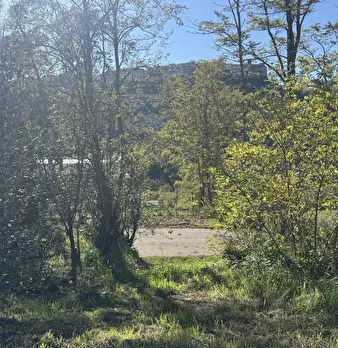 Foto annuncio 45