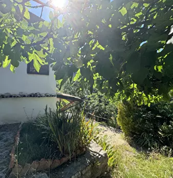Foto annuncio 74