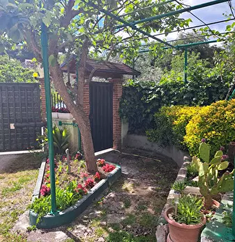 Foto annuncio 52