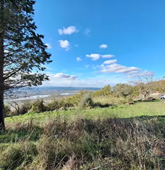 Foto annuncio 126