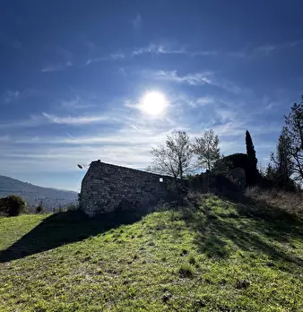 Foto annuncio 85