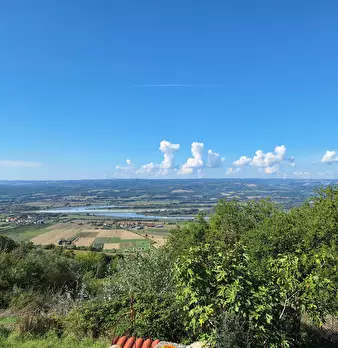 Foto annuncio 3