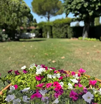 Foto annuncio 5