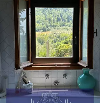Foto annuncio 50