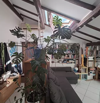 Foto annuncio 6