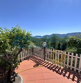 Foto annuncio 17