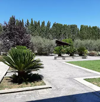 Foto annuncio 12