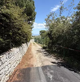 Foto annuncio 41