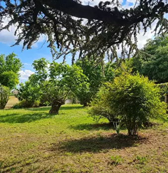 Foto annuncio 32