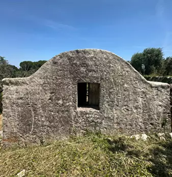 Foto annuncio 12