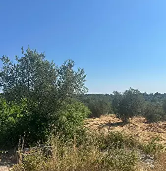 Foto annuncio 23