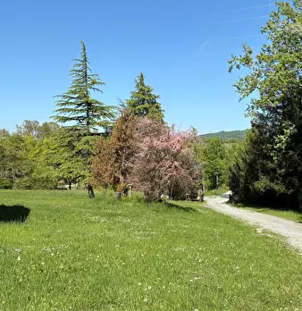 Foto annuncio 63