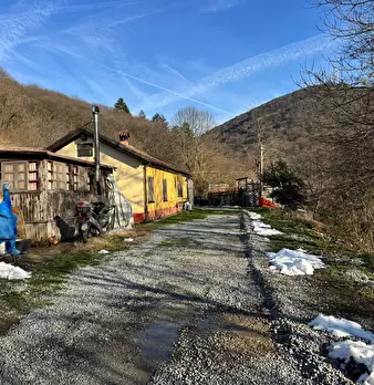 Foto annuncio 7
