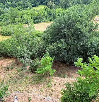 Foto annuncio 46