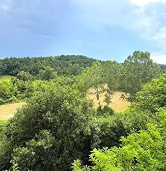 Foto annuncio 54