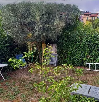 Foto annuncio 7