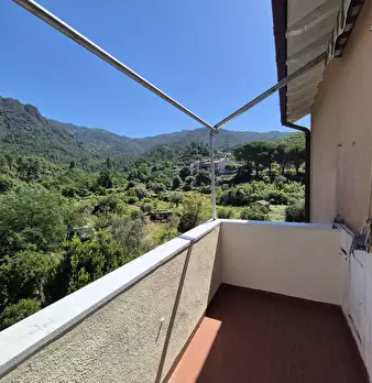 Foto annuncio 11