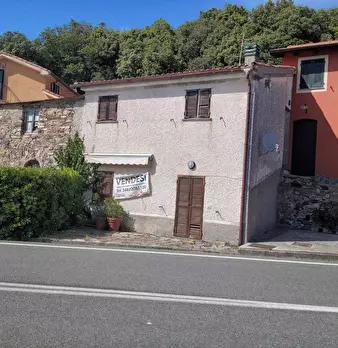 Foto annuncio 7