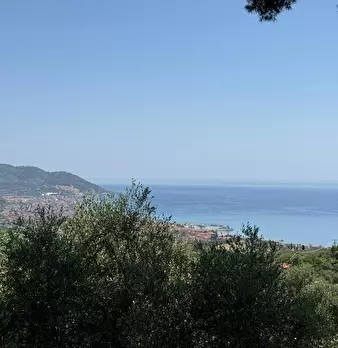 Foto annuncio 15