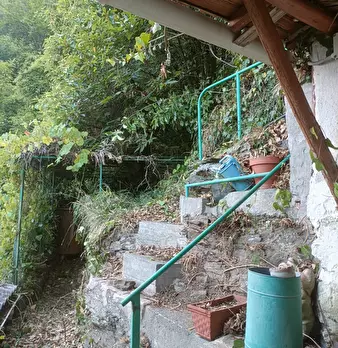 Foto annuncio 31