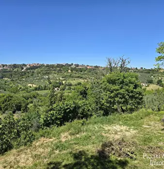 Foto annuncio 34