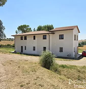 Foto annuncio 74