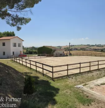 Foto annuncio 4