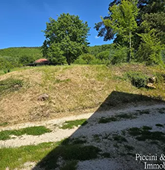 Foto annuncio 65