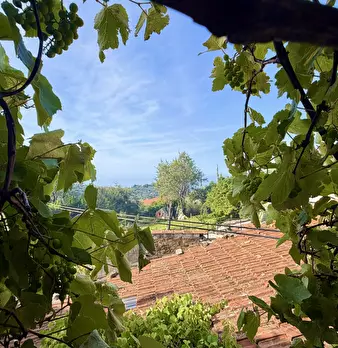 Foto annuncio 18