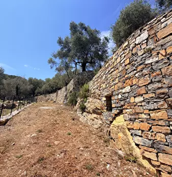 Foto annuncio 5