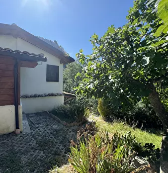 Foto annuncio 73