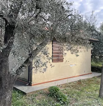 Foto annuncio 3