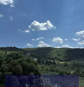 Foto annuncio 64