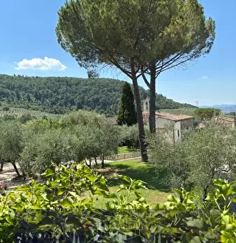 Foto annuncio 9
