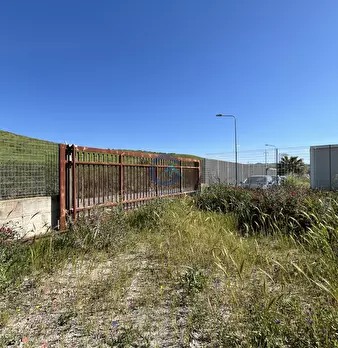 Foto annuncio 3