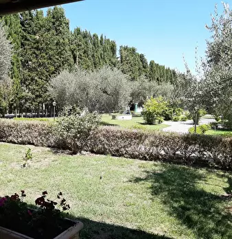 Foto annuncio 9
