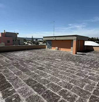 Foto annuncio 24