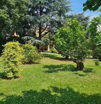 Foto annuncio 42