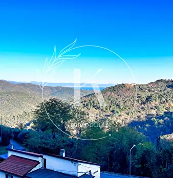 Foto annuncio 19