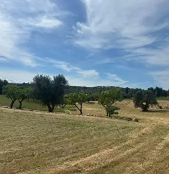 Foto annuncio 10