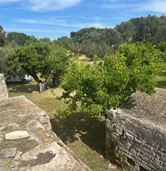 Foto annuncio 28