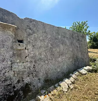 Foto annuncio 9