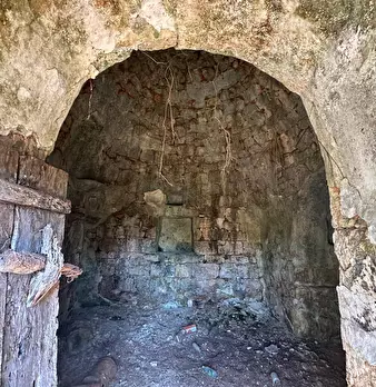 Foto annuncio 12