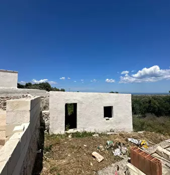 Foto annuncio 76