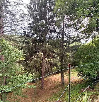Foto annuncio 47