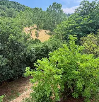 Foto annuncio 51