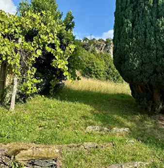 Foto annuncio 24